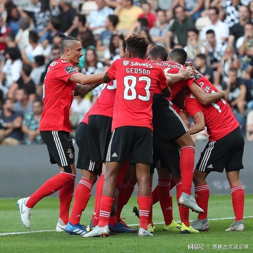 集结日社区盾焦点战，葡萄牙体育调整名单，震撼外界，医务组通报恢复(公社是棵长青藤歌曲)